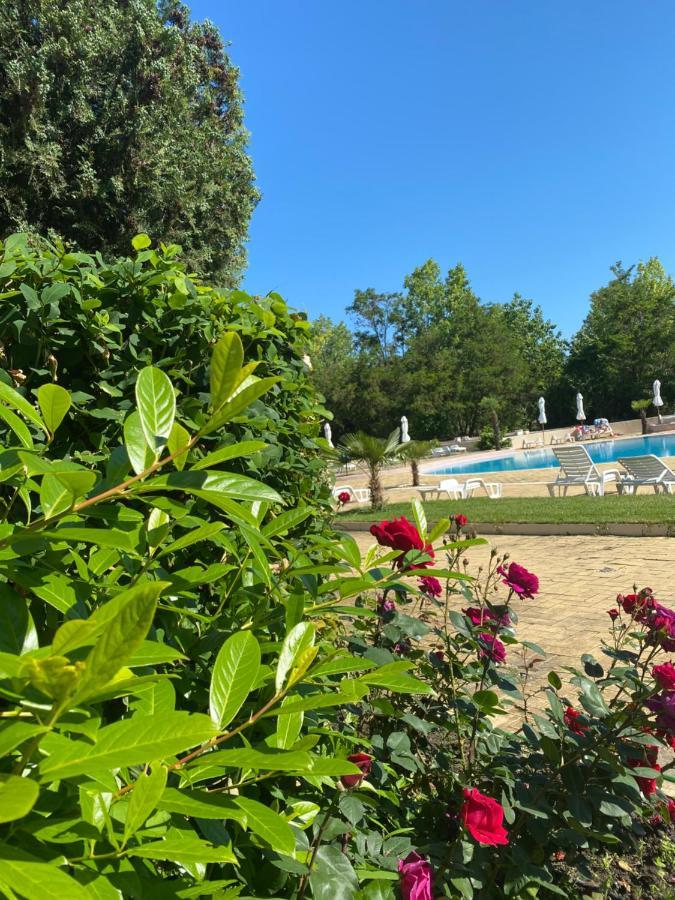 Hotel Kamenec 3*